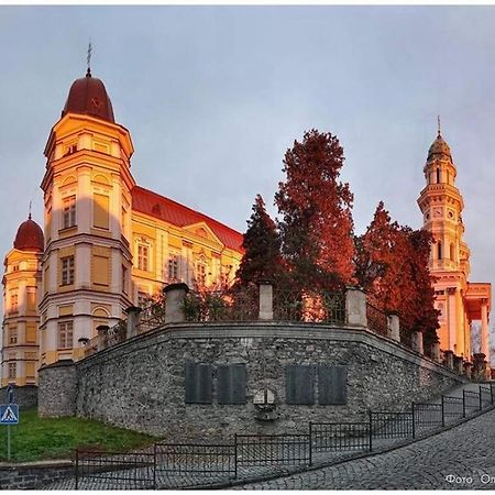 Старовинні Апартаменти У Центрі Міста Użhorod Zewnętrze zdjęcie